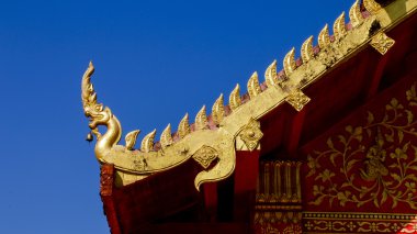 Naga mavi gökyüzü üzerinde.