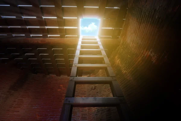 Exit of a dark room, wood ladder from basement up to see the sky — Stock Photo, Image