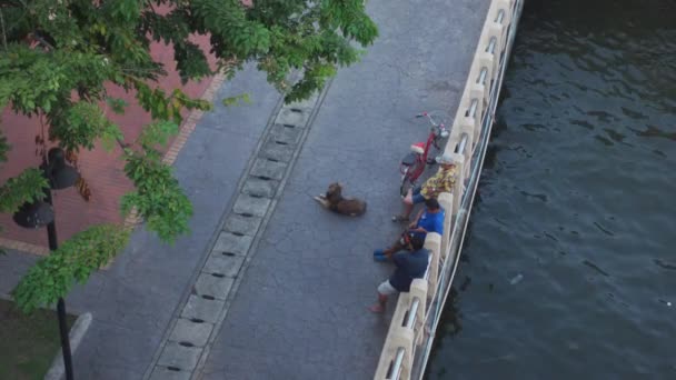 2021年1月12日 泰国曼谷 在靠近河流的公园里 人们和一只狗正在放松自己 — 图库视频影像