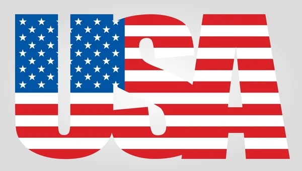 USA Flagge Textsymbol — Stockvektor