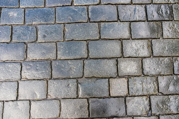 Grey cobblestone pavement after the rain — Stock Photo, Image