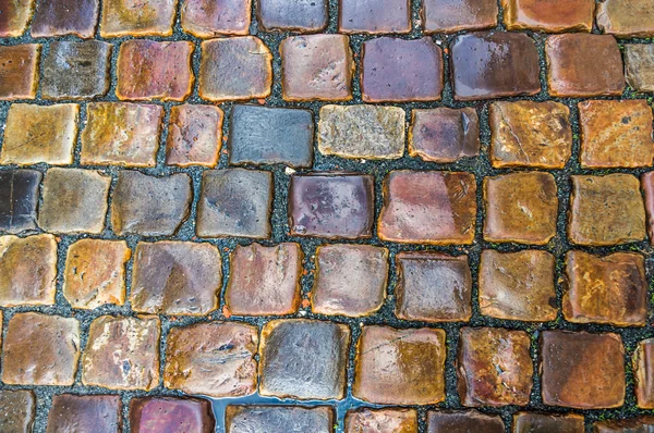 Cobblestone pavement after the rain — Stock Photo, Image