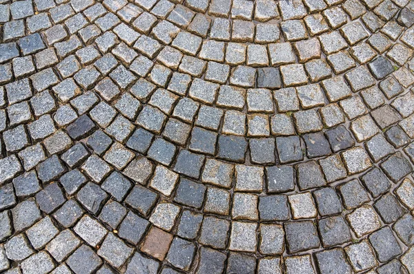 Grey cobblestone pavement after the rain — Stock Photo, Image