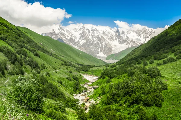 Cours d'eau de montagne et montagnes enneigées en Géorgie — Photo