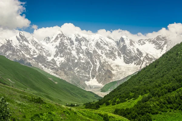 Met gras begroeide vallei en met sneeuw bedekte bergen in Georgië — Stockfoto