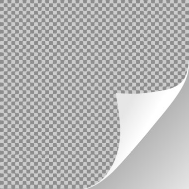 Kıvrılmış kağıt levha köşe veya sayfa curl gölge ile