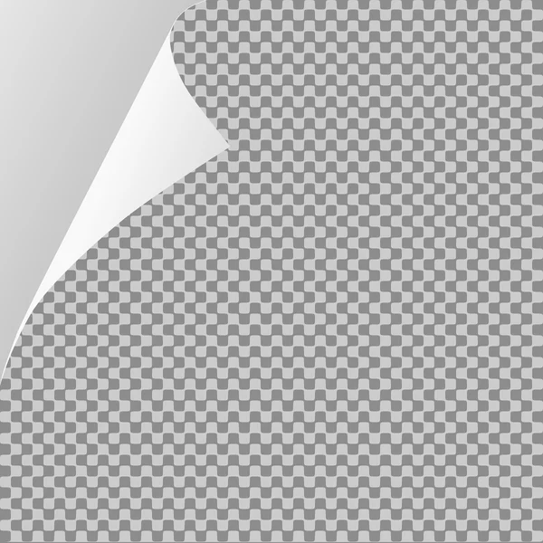 Coin de feuille de papier frisé ou boucle de page avec ombre — Image vectorielle