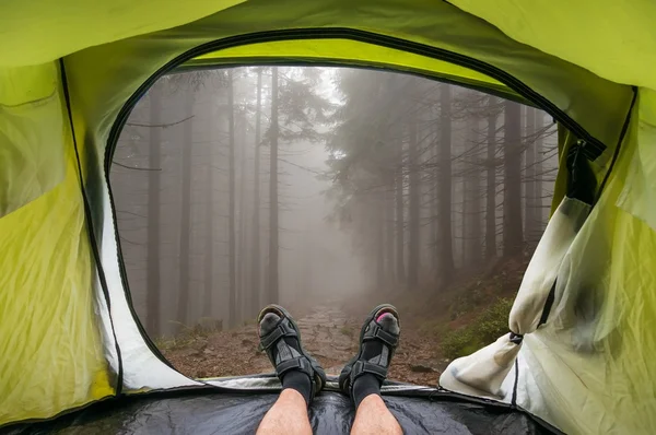 Vista dall'interno di una tenda su una nebbia nella foresta infestata — Foto Stock