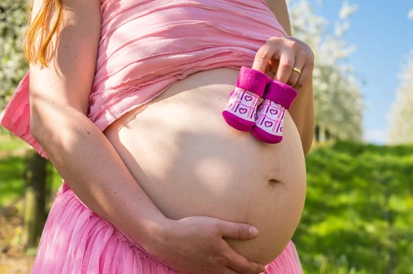 在盛开的果树园里的怀孕女孩的肚子 — 图库照片