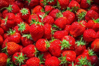 taze olgun çilek kökenli