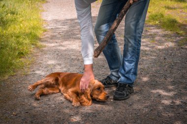 Man holds a stick in hand and he wants to hit the dog clipart