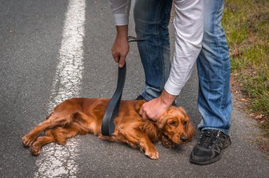 Adam bir deri kemer elinde tutan ve o köpeği vurmak istiyor