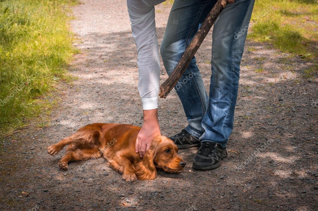 Resultado de imagem para pessoas que maltratam animais