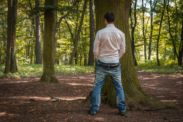 Standing man peeing near big tree in autumn forest — Stock Photo, Image