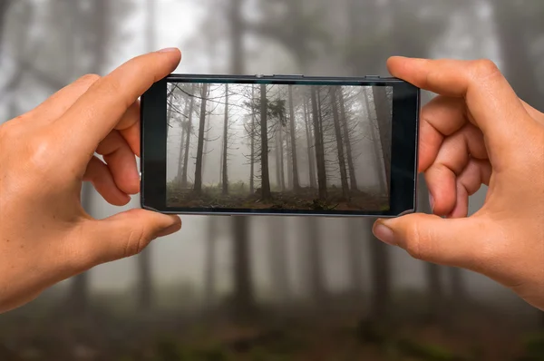 Tomando fotos de niebla en el bosque embrujado con teléfono móvil — Foto de Stock