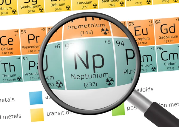 Element av Neptunium med förstoringsglas — Stockfoto