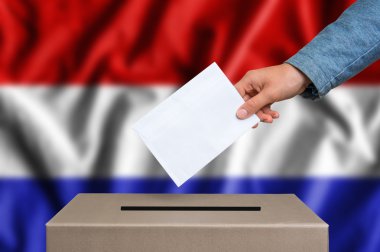 Seçim oy oy sandığı Hollanda-