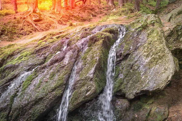Cachoeira Montanha Floresta Verde Hora Verão — Fotografia de Stock