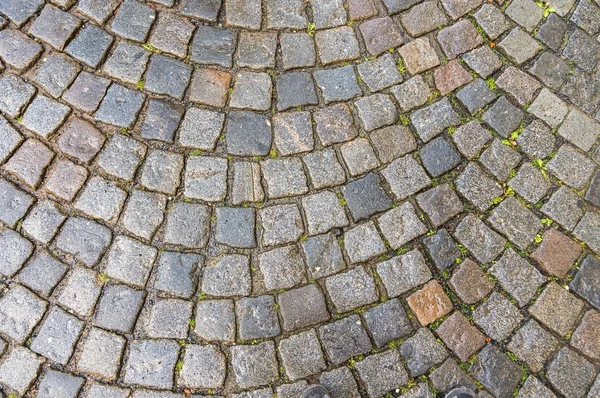 Grey cobblestone pavement after the rain in the Czech Republic — Stock Photo, Image