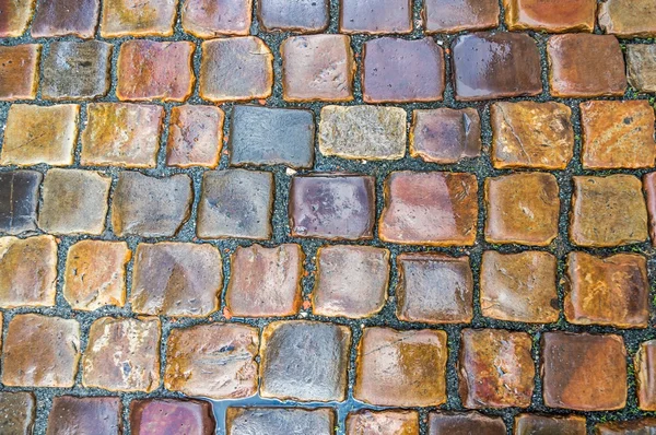 Grey cobblestone pavement after the rain in the Czech Republic — Stock Photo, Image
