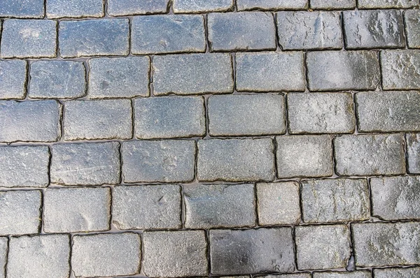 Grey cobblestone pavement after the rain in the Czech Republic — Stock Photo, Image