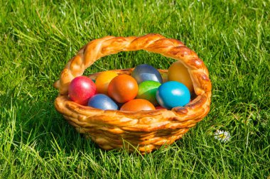 sepetteki renkli yumurta