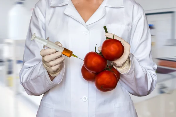 Gmo-Experiment: Wissenschaftler injizieren Flüssigkeit aus Spritze in rote Tomaten im landwirtschaftlichen Forschungslabor — Stockfoto