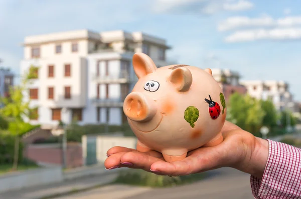 All savings money from pink ceramic piggy bank to pay for the dr — Stock Photo, Image