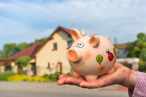 All savings money from pink ceramic piggy bank to pay for the dr — Stockfoto