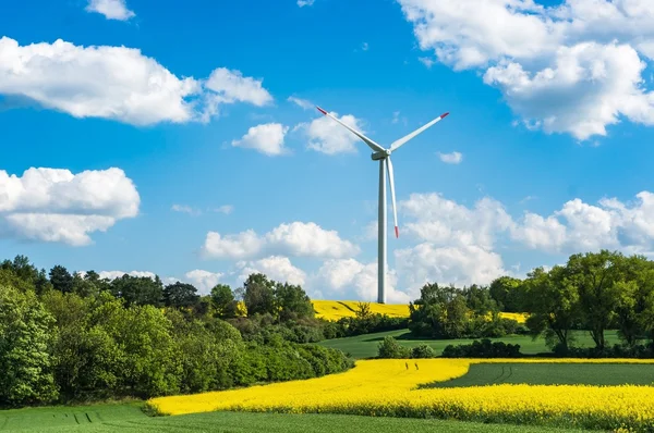 Windkraftanlage auf einem Rapsfeld — Stockfoto