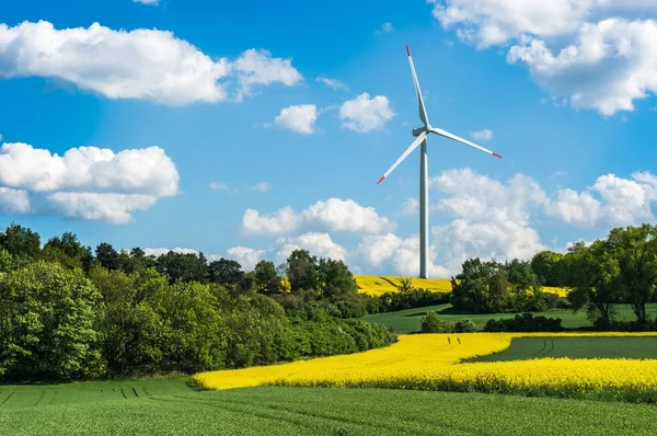 Windkraftanlage auf einem Rapsfeld — Stockfoto