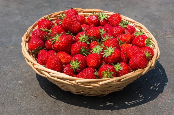 Fresas rojas frescas en cesta de punto de madera — Foto de Stock