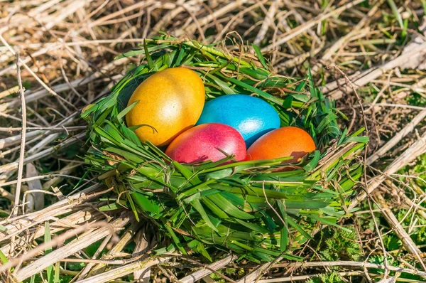 Gniazdo z kolorowymi jajkami — Zdjęcie stockowe