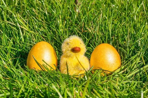 Bunte Ostereier auf grünem Gras — Stockfoto