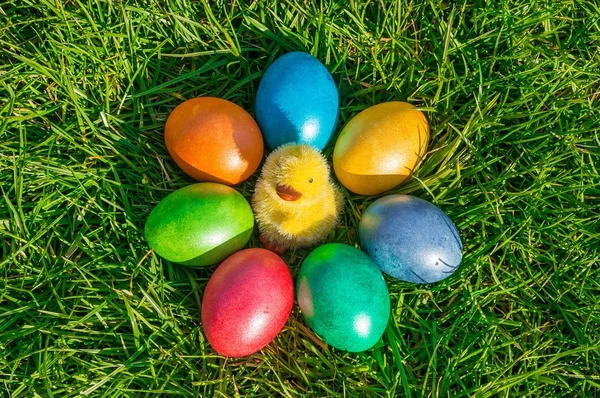 Bunte Ostereier auf grünem Gras — Stockfoto