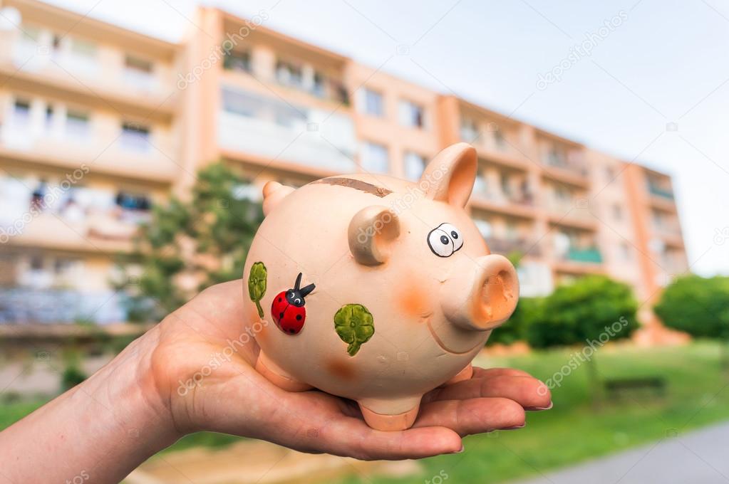 All savings money from pink ceramic piggy bank to pay for the dr