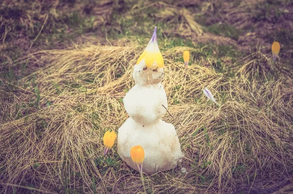 Small snowman on grass with crocuses in the high mountains — Stock Photo, Image