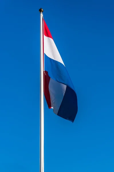 Netherlands flag on the blue sky — стокове фото