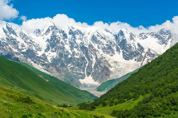 Mooie met gras begroeide vallei en met sneeuw bedekte bergen in Georgië — Stockfoto