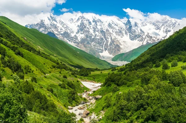 Cours d'eau de montagne et montagnes enneigées en Géorgie — Photo