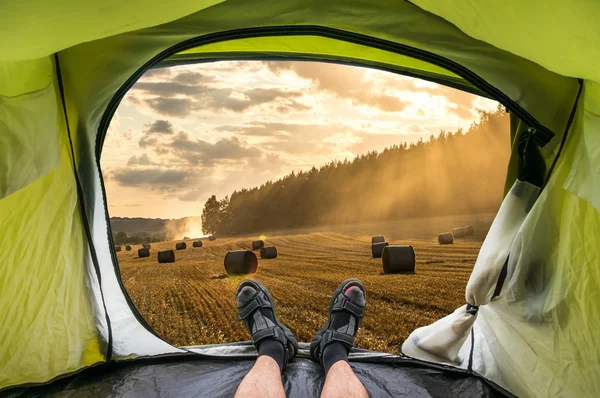 Vista de dentro de uma tenda no pôr do sol e campo de trigo — Fotografia de Stock