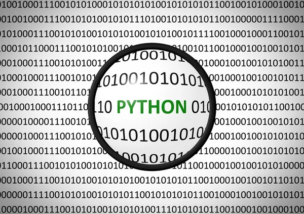 Python ve Büyüteç lens ile ikili kod