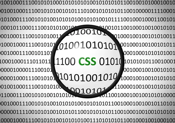 Código binario con CSS y lente de aumento — Foto de Stock