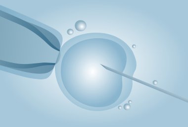 In vitro döllenme IVF mikroskobik suni tohumlama