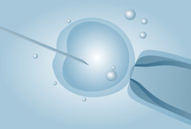 In vitro döllenme IVF mikroskobik suni tohumlama