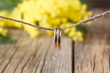 Mimoza çiçek şube