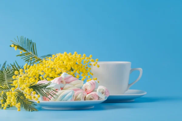 Taza de té con flores de primavera — Foto de Stock