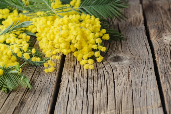 Ramo amarillo de Mimosa sobre una mesa de madera rústica — Foto de Stock