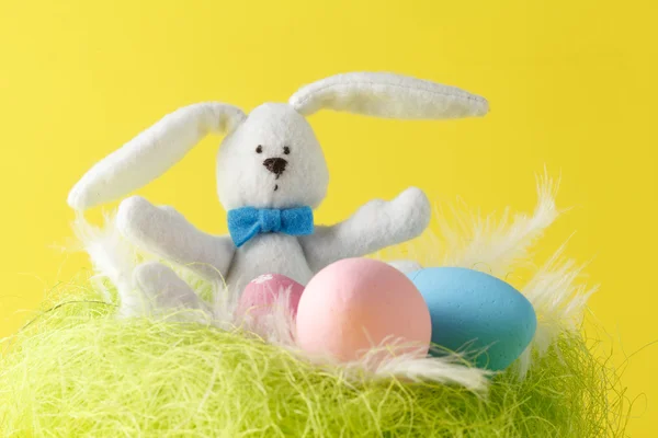 Cartão de Páscoa com coelho de Páscoa, grama e ovos no ninho — Fotografia de Stock