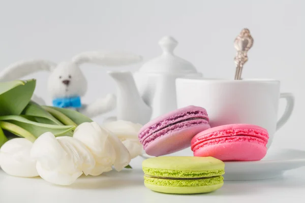 Cup of tea with tulips on a white background — Stock Photo, Image